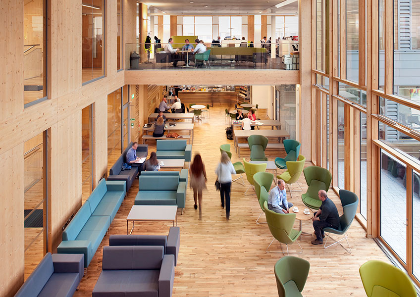 Avi lounge chairs in workspace