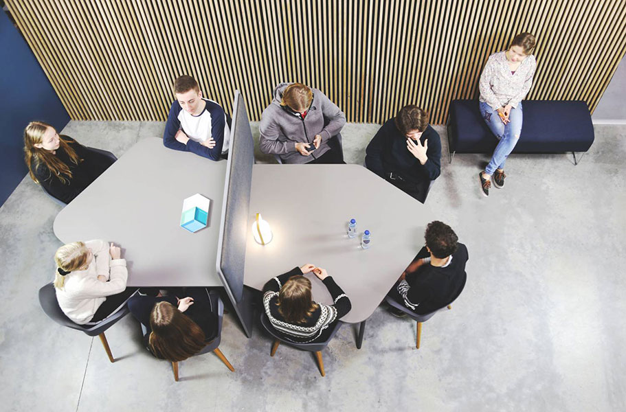 Fourreal Flake tables with acoustic partition