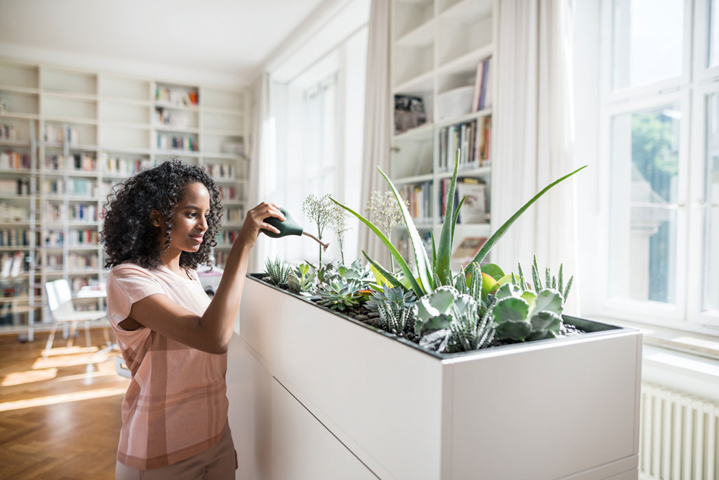 Grand Slam planet box with flowers