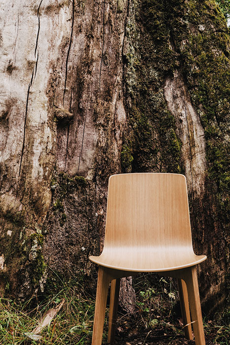 Lottus Wood chair