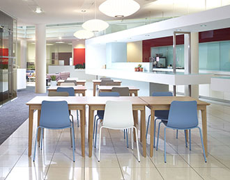 Polly chairs in different colours