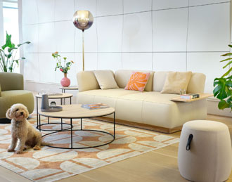 Sofa in office with scatter cuchions and stools