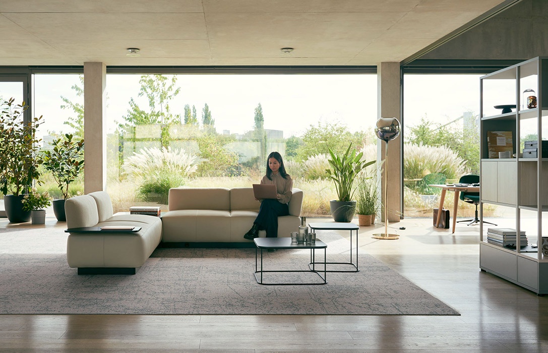 Se Living Sofa for executive office