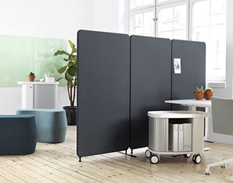 Softline floor divide