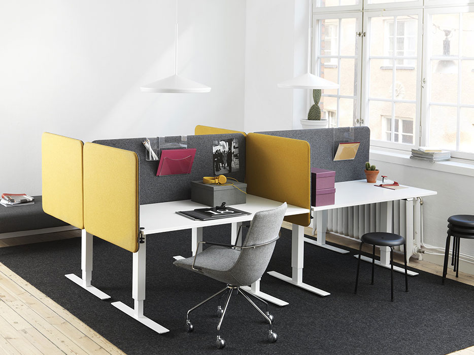 Softline office divides