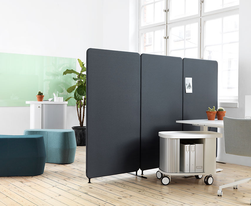 Softline divides surrounding desks