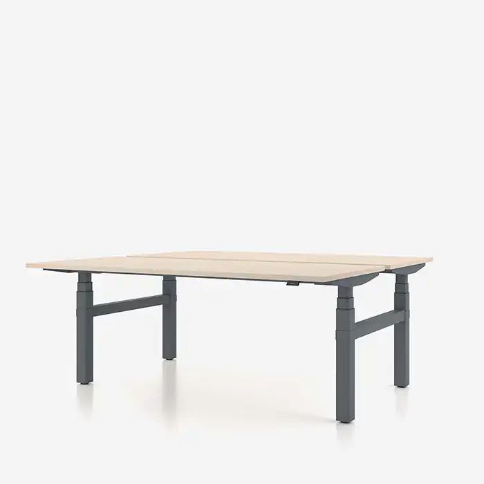 eModel 2 adjustable work bench