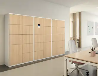 Lodge LateralFile lockers