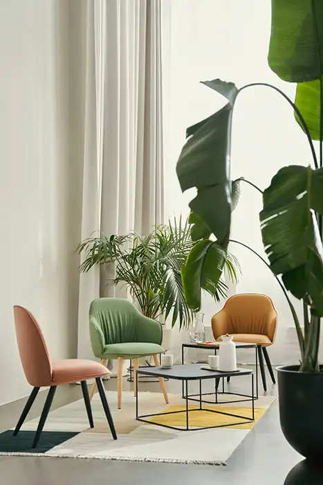 se cafe chairs
