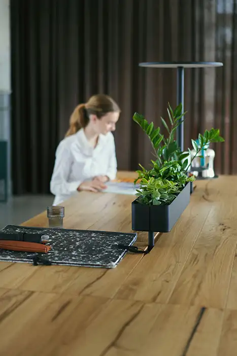 Team table in work cafe