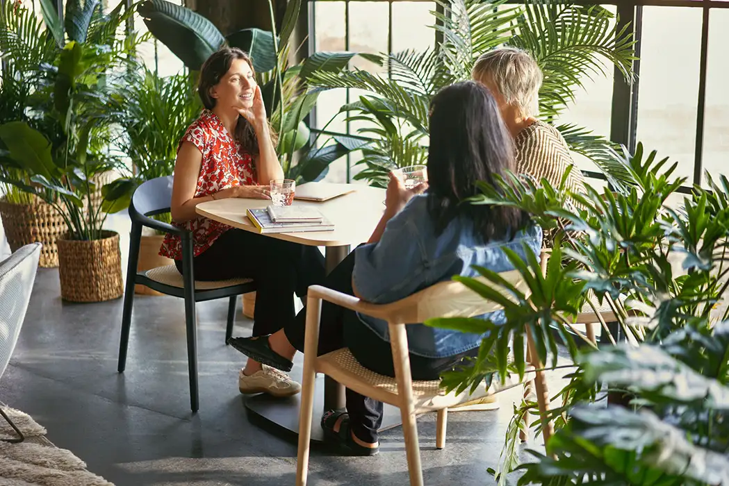 se cafe chairs with solid wood frame
