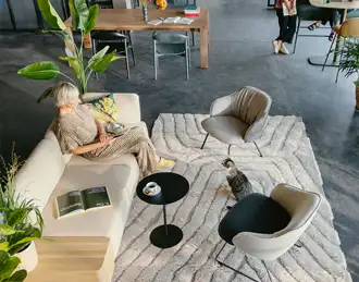 sofa in garden cafe with cat