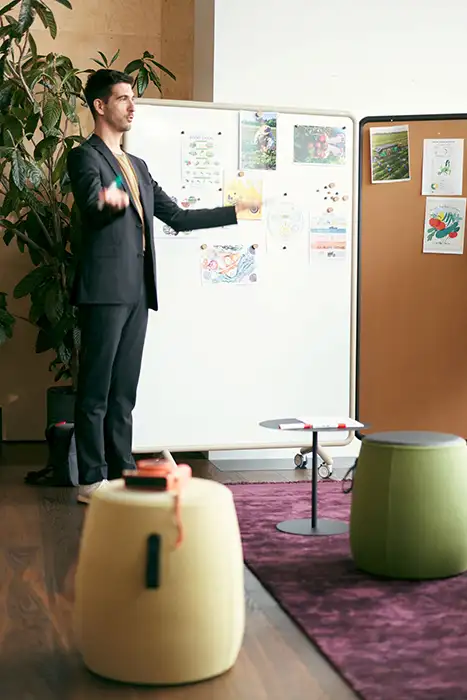 Mobile Pinboard and magnetic whiteboard