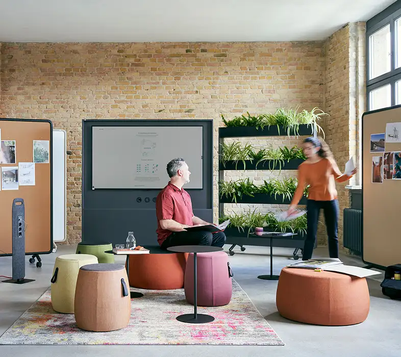 Se Planter in project and training room