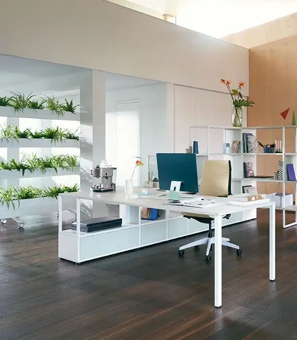 Se Planter biophilia divide