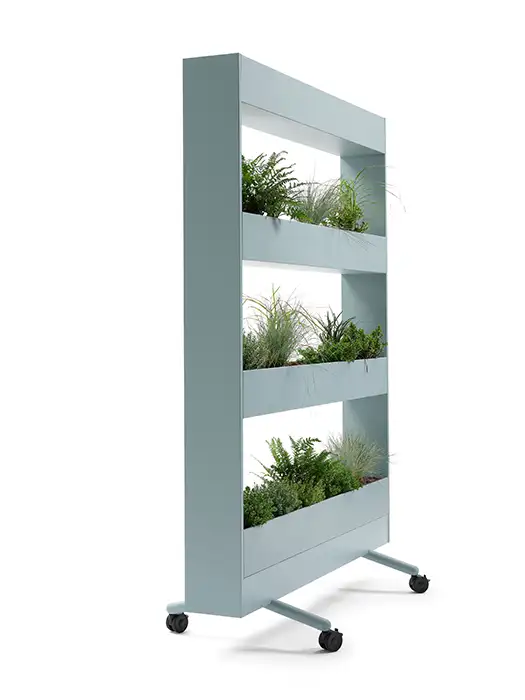 Se Planter on castors