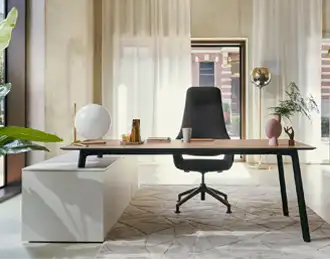 Stlish executive desk