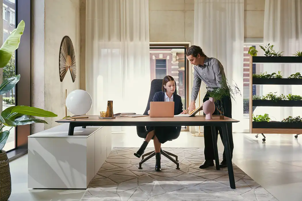 se:vision desk in executive suite